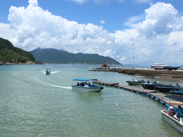 群英荟萃三门岛，文韬武略决霸主
